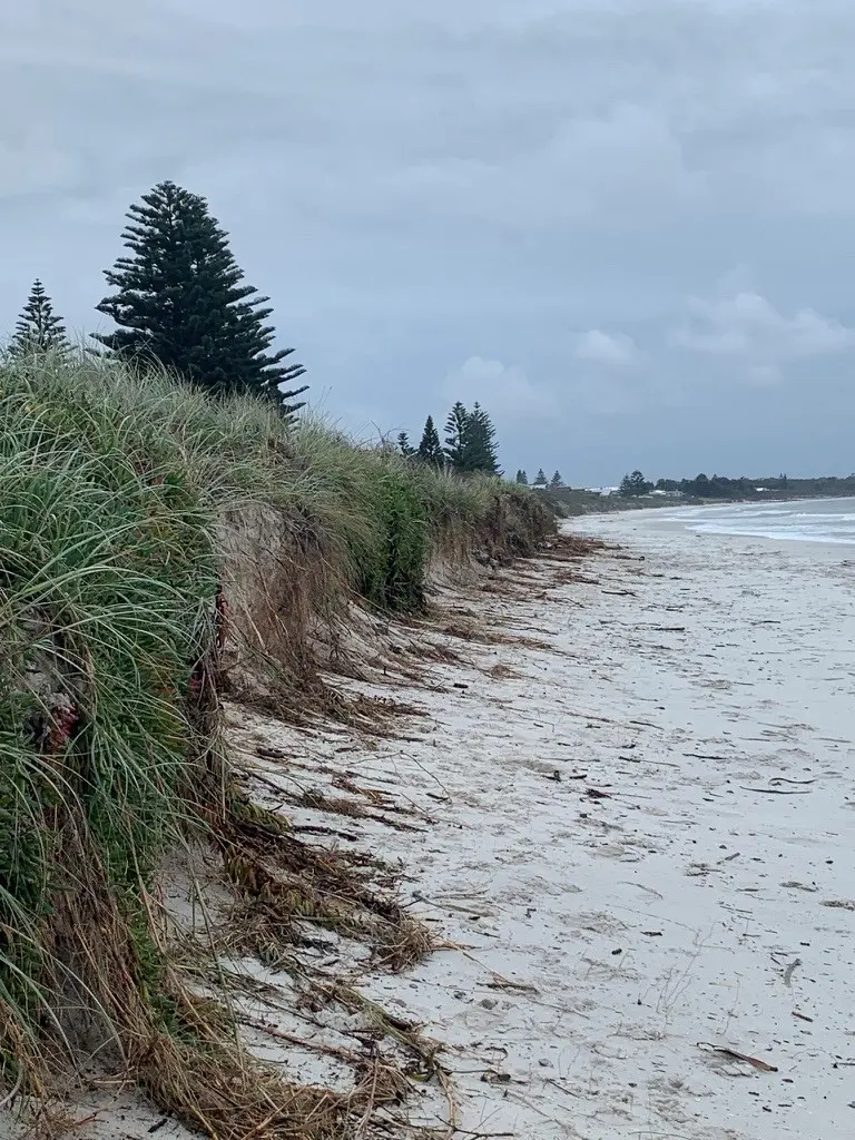 Callala Beach foreshore