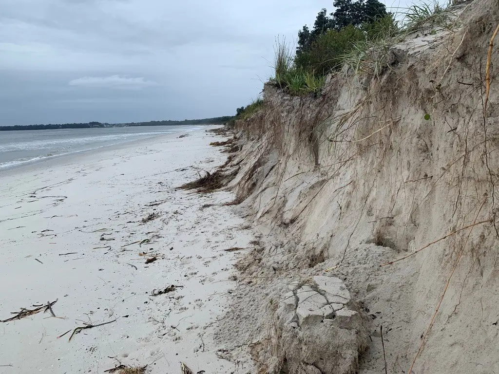 Callala Beach Foreshore